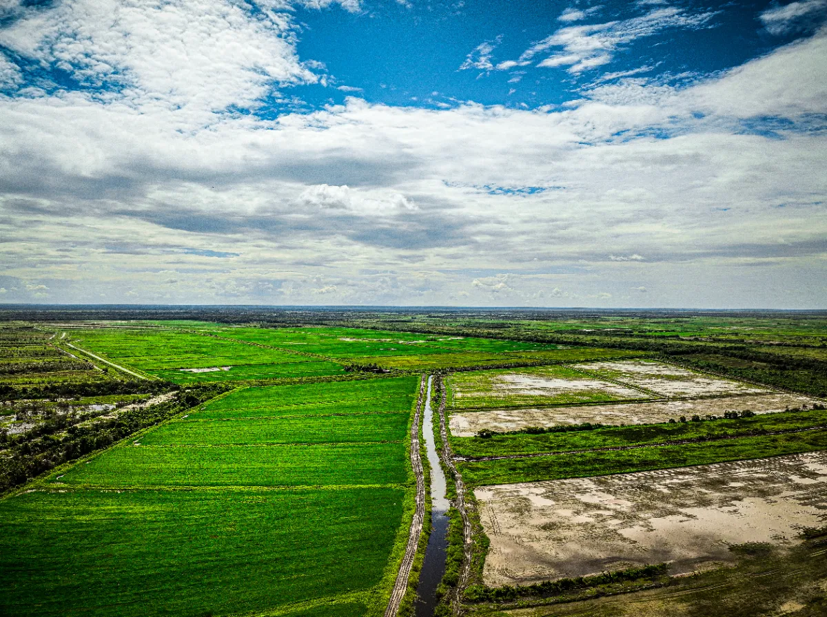 Agricultural asset inspection drone