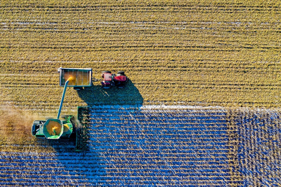 Crop monitoring and scouting
